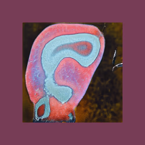 Item #103173799601382394656093791528423317692913802616819247326072395824533306605569 Media