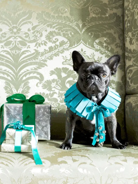 Item #15081463501546268006596121588316872326209313817998412847676537165506433515521 Media