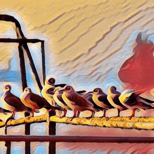 Item #80198979321537469681427610374191876941176913425314491088131948627323036631041 Media