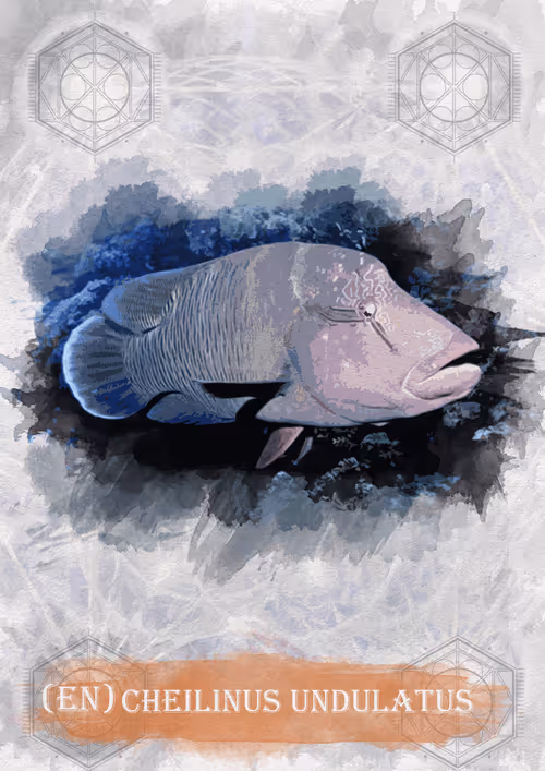 Item #108829080069432666427413762901192148077907568328307962474054884591435337695239 Media