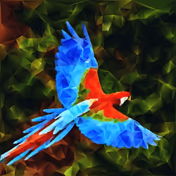 King parrot. 