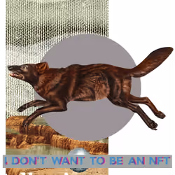 I don't want to be an NFT #49