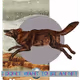 3530187889540553224700552633621350802399192504372702264799301472328802631681