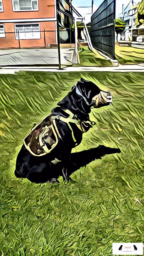 Item #10567450016853403337930259676618451783682953632793231315200837923987571867649 Media