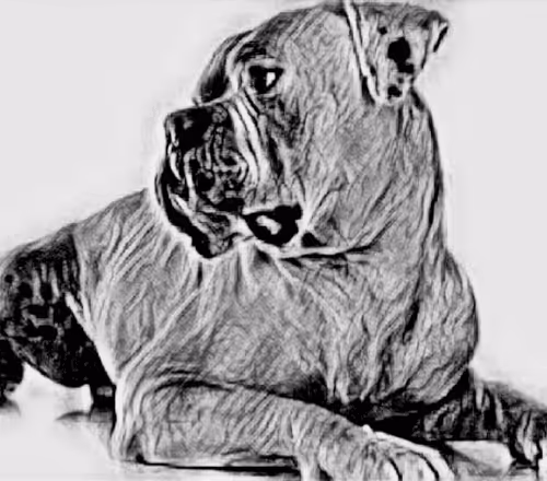 Item #23143313246472061328071561115701105421589606567298838424350448120350266884097 Media