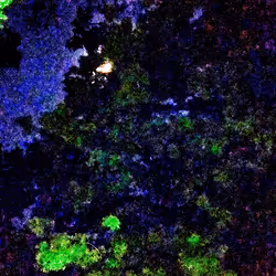 36576831440143805392941663370784632580807018479788440531803952988185291653121