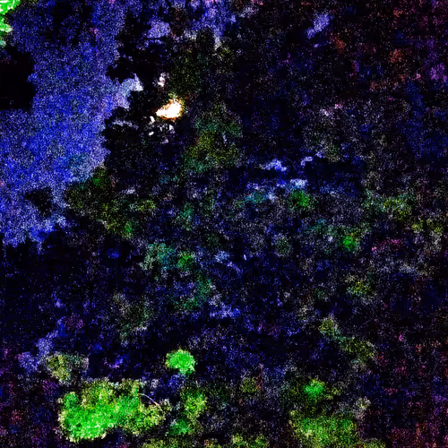 36576831440143805392941663370784632580807018479788440531803952988185291653121