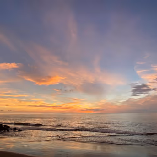 Untitled Collection #203089337