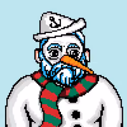 Snowy Pirate #4