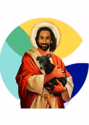 Untitled Collection #76670375