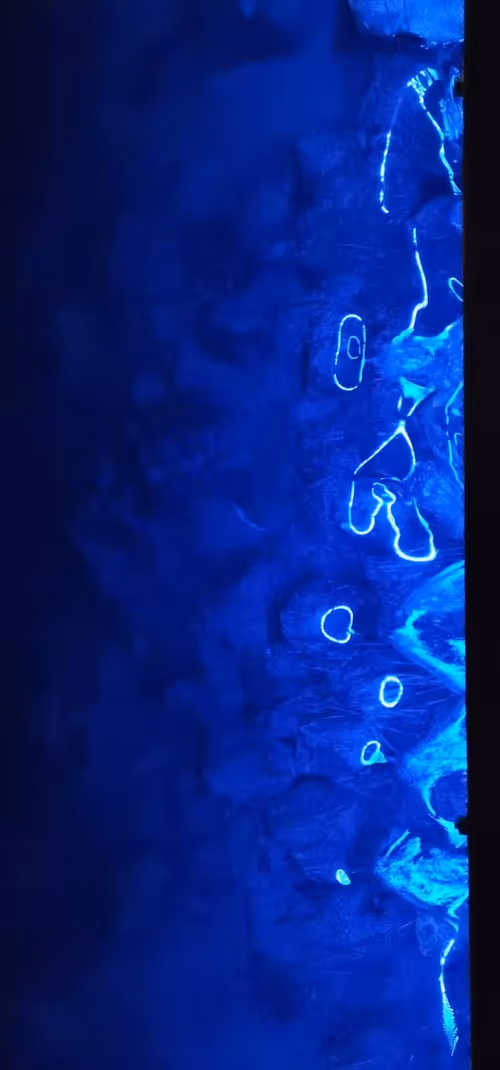 Item #105057883243597752943893910039238115039509970010382678399475215117995458166785 Media