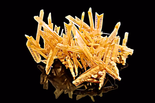 Item #94096604826532313810021462276079008274490893871398392433461387126761467150352 Media