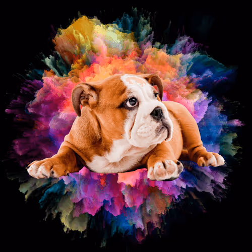 Item #56239973556945340979686789749535475438779907640352577271033901440431466479626 Media