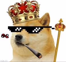 Item #37442692769715142901481222567017824639786956438597409056524288771936820920321 Media