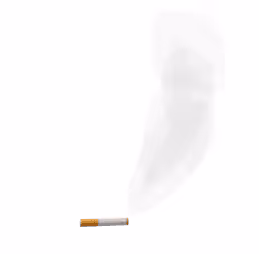 Item #99484247467819844574866309657397461132231188762887729523987961312198797557780 Media