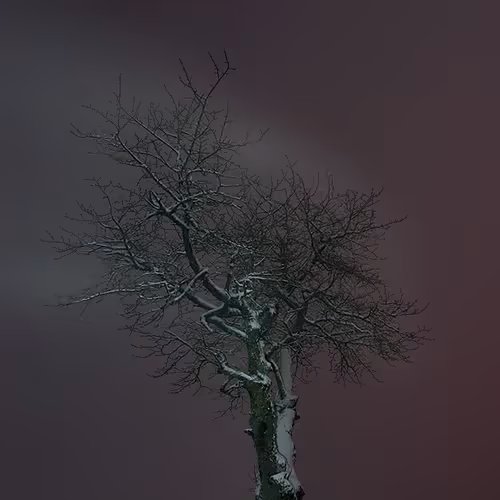 Nature Photographer 177169894