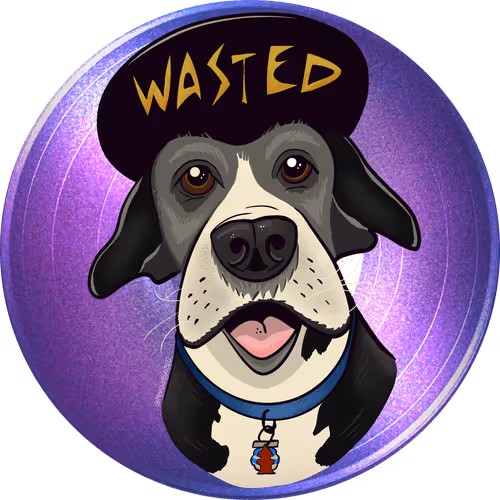 Torum Pets – Conway