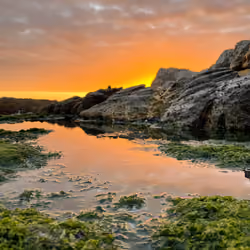 Sunset Puddle