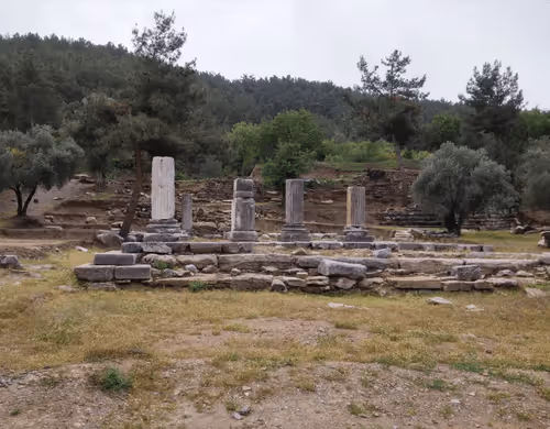 Item #26363452696448564677607507811535355388888413099510016234842399896592164323329 Media