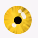 20157261386579170798484102184692799981539104466587402433711085652940469305345