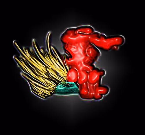 Item #97667747305328880677719999642930270019019806513031101726286666981821388947457 Media