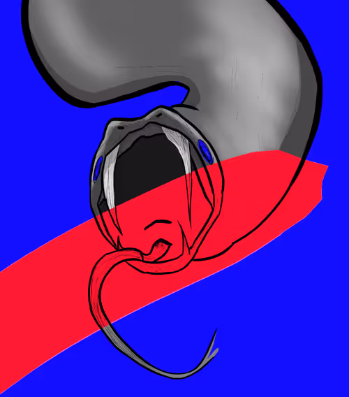 Item #68433545942358475756877512566270510215863032958314924383982705320365408649217 Media