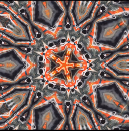 Item #115519110562426540915961605188733446239692746580233332901306592005237214543873 Media