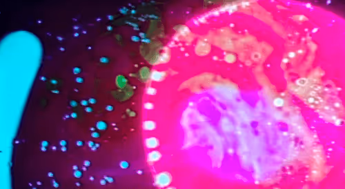 Item #115543855825004991069233676876391598030512634182688088675694673464692664434689 Media