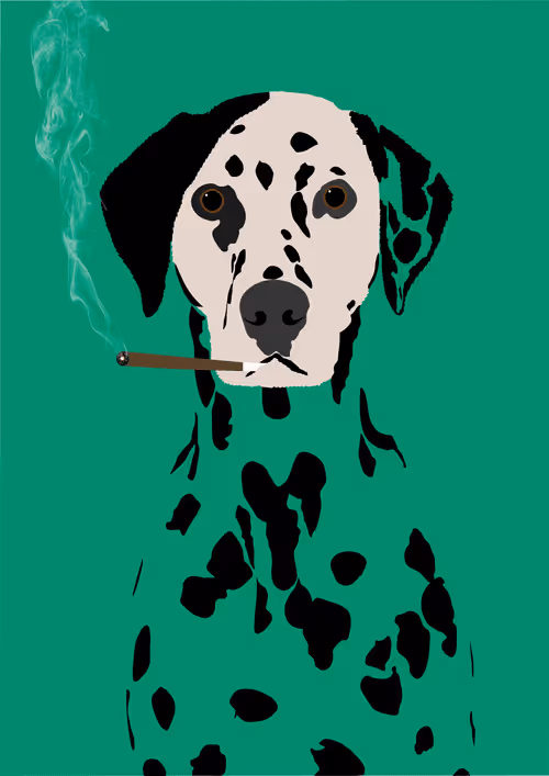 Item #46679994496108624530020148644785155104419172278486625888968681071874093875201 Media