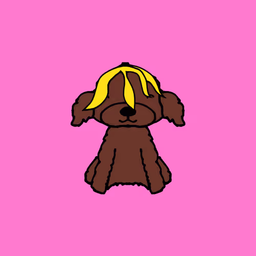 Peachy Poodle #1942