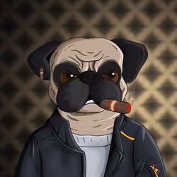 Pug In Black #1