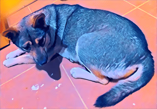 Item #74122138759525378795667626270866148487737655975912799548892276421073427234817 Media