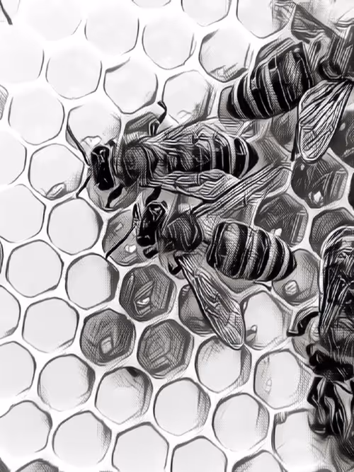 Item #101599579626109009666607068920778550362968334718480795982881728431983106719745 Media