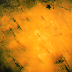 Abstract collection #001 La Roche