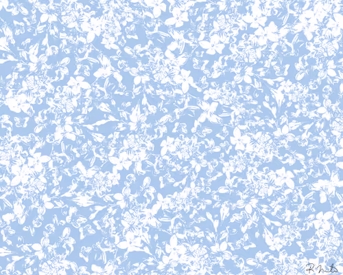 Item #100202135889345252302615875004271900597951028782367159480816017654694700646405 Media