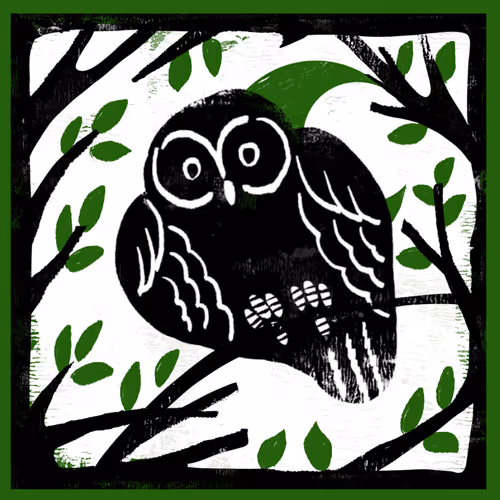 Item #85958577837238121956904946146282691386583578196809181446220191640518643417098 Media