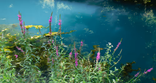 Item #52976950402654845118346719408738568385707735523303187800578383958696364343297 Media