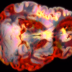 29877578668728852178902598419785793077778618348046200683544678233785688391681