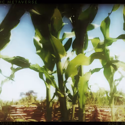 3787080761074609709675817509753112159059746763483256848434353846967966105601