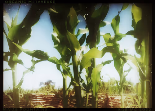 Item #3787080761074609709675817509753112159059746763483256848434353846967966105601 Media