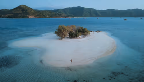 Item #77639041975894886609071233097545712090510044969555444171952761914602702241793 Media