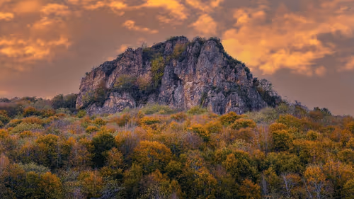 Item #69005224878913651181374632274642987681947640705852691183250276312994851848193 Media