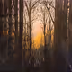 Spring Dawn