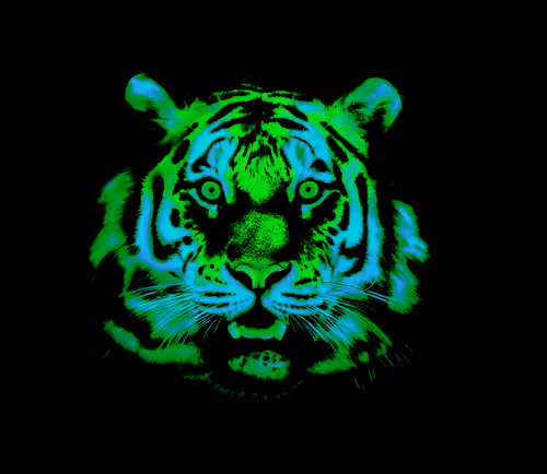 Item #59191331976373817351168936275193705412897253256458674987346138600602505052161 Media