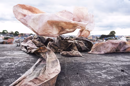 Item #9783384603778918420145046153899718198103781480462481698299604403853771931948 Media