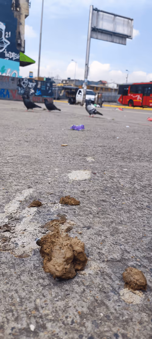 Item #46030170572338065013954339165187362546387663606248340675285172524440679874561 Media