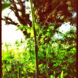 3787080761074609709675817509753112159059746763483256848434353743613873094657