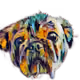 86823071903318216941488210789023946416237854886685688545516411260387310174209