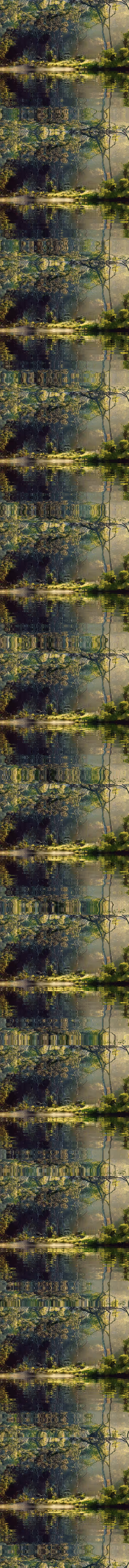 Item #55458149292146253187819765386408630098737584978711089100111870010847637012481 Media