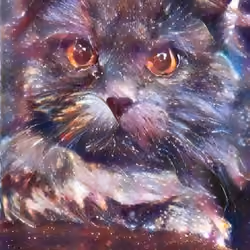 Cat 0047
